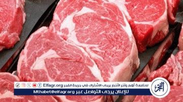 الصبح أخبار – ضبط كميات من اللحوم الفاسدة فى حملة للطب البيطري بالغربية